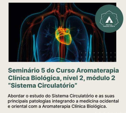 "Sistema