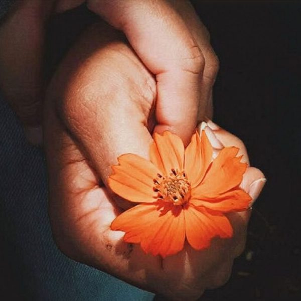 Mãos segurando flor laranja representando aromaterapia no luto e cuidados paliativos
