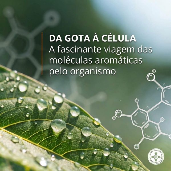 Da Gota às Células
